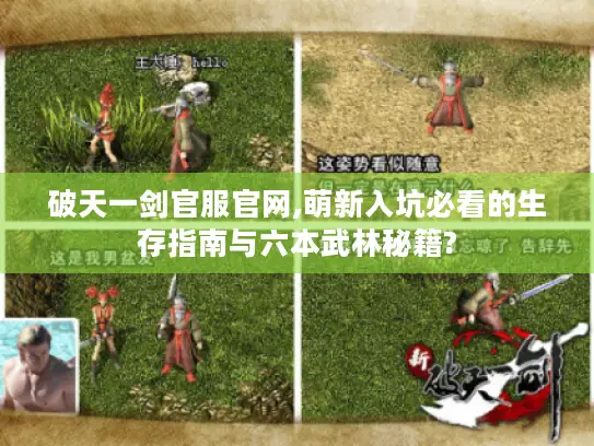 破天一剑官服官网,萌新入坑必看的生存指南与六本武林秘籍?