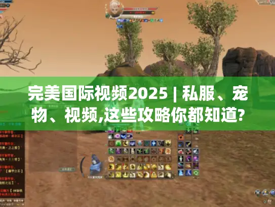 完美国际视频2025 | 私服、宠物、视频,这些攻略你都知道?