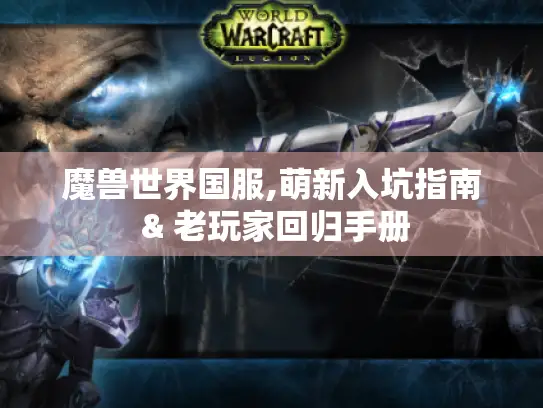 魔兽世界国服,萌新入坑指南 & 老玩家回归手册 魔兽世界国服,萌新入坑指南 & 老玩家回归手册