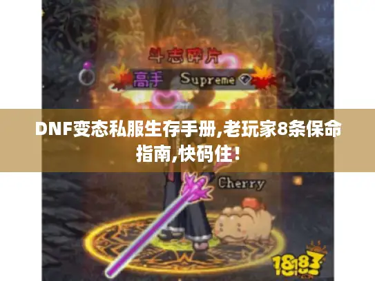 DNF变态私服生存手册,老玩家8条保命指南,快码住！