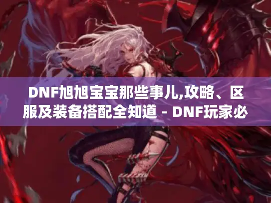 DNF旭旭宝宝那些事儿,攻略、区服及装备搭配全知道 - DNF玩家必看！