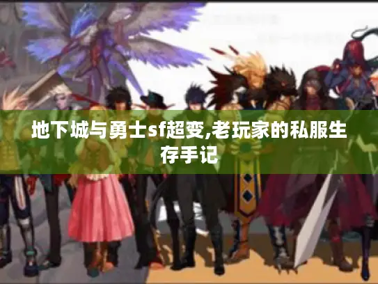 地下城与勇士sf超变,老玩家的私服生存手记