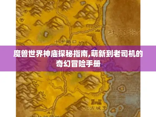 魔兽世界神庙探秘指南,萌新到老司机的奇幻冒险手册