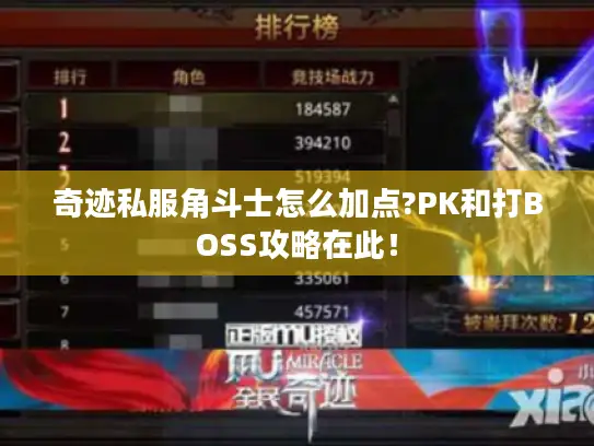 奇迹私服角斗士怎么加点?PK和打BOSS攻略在此！
