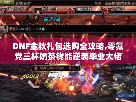DNF金秋礼包选购全攻略,零氪党三杯奶茶钱能逆袭毕业大佬?