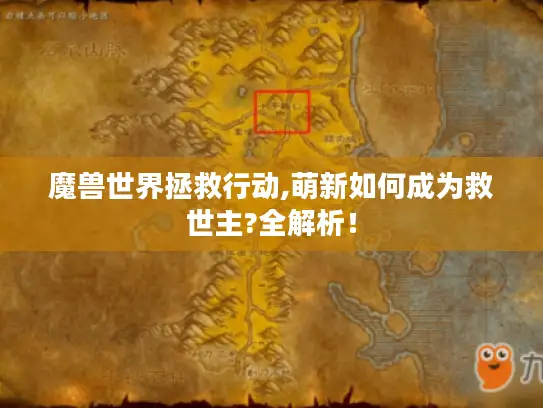 魔兽世界拯救行动,萌新如何成为救世主?全解析！