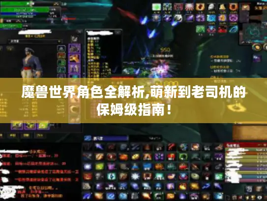 魔兽世界角色全解析,萌新到老司机的保姆级指南！