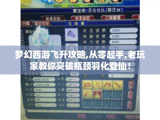 梦幻西游飞升攻略,从零起手,老玩家教你突破瓶颈羽化登仙！