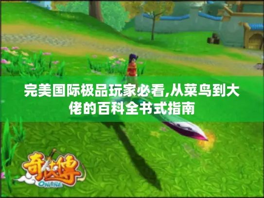 完美国际极品玩家必看,从菜鸟到大佬的百科全书式指南 完美国际极品玩家必看,从菜鸟到大佬的百科全书式指南