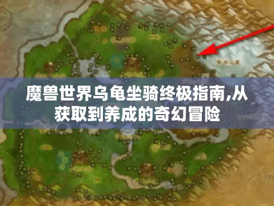 魔兽世界乌龟坐骑终极指南,从获取到养成的奇幻冒险 魔兽世界乌龟坐骑终极指南,从获取到养成的奇幻冒险