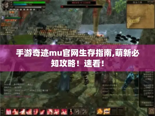手游奇迹mu官网生存指南,萌新必知攻略！速看！