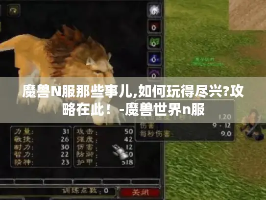 魔兽N服那些事儿,如何玩得尽兴?攻略在此!-魔兽世界n服 魔兽N服那些事儿,如何玩得尽兴?攻略在此!-魔兽世界n服