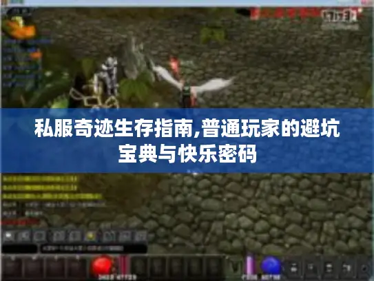 私服奇迹生存指南,普通玩家的避坑宝典与快乐密码
