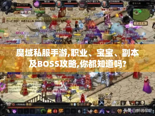 魔域私服手游,职业、宝宝、副本及BOSS攻略,你都知道吗?