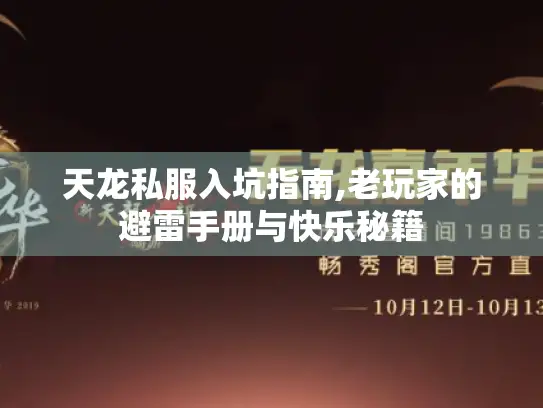 天龙私服入坑指南,老玩家的避雷手册与快乐秘籍