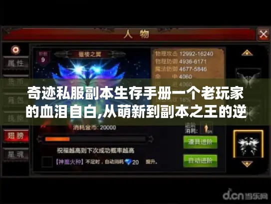 奇迹私服副本生存手册一个老玩家的血泪自白,从萌新到副本之王的逆袭之路