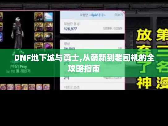 DNF地下城与勇士,从萌新到老司机的全攻略指南 DNF地下城与勇士,从萌新到老司机的全攻略指南