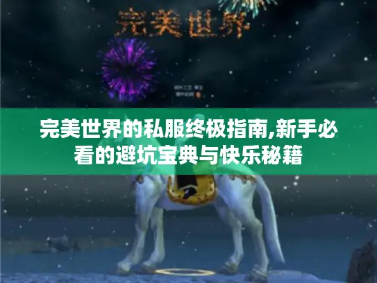 完美世界的私服终极指南,新手必看的避坑宝典与快乐秘籍