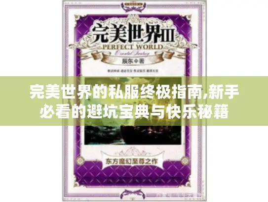 完美世界的私服终极指南,新手必看的避坑宝典与快乐秘籍