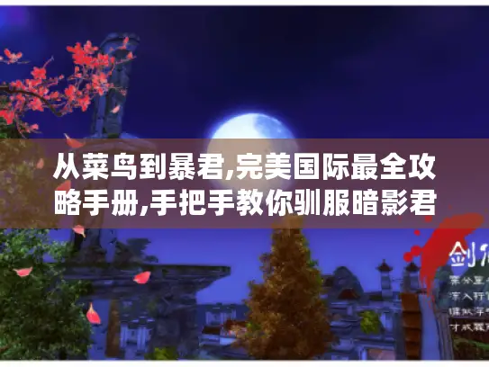 从菜鸟到暴君,完美国际最全攻略手册,手把手教你驯服暗影君主