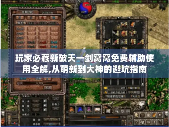 玩家必藏新破天一剑窝窝免费辅助使用全解,从萌新到大神的避坑指南