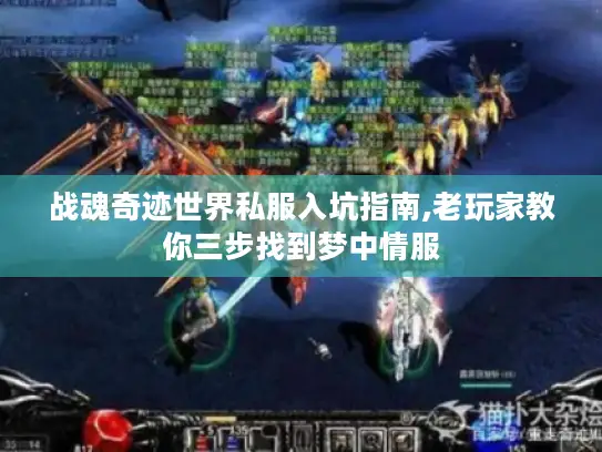战魂奇迹世界私服入坑指南,老玩家教你三步找到梦中情服
