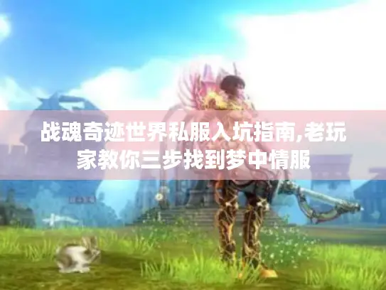 战魂奇迹世界私服入坑指南,老玩家教你三步找到梦中情服