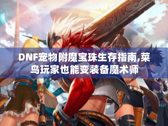 DNF宠物附魔宝珠生存指南,菜鸟玩家也能变装备魔术师