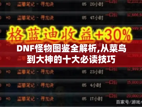 DNF怪物图鉴全解析,从菜鸟到大神的十大必读技巧