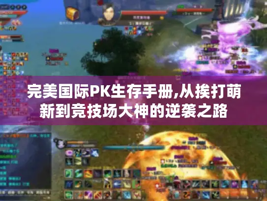 完美国际PK生存手册,从挨打萌新到竞技场大神的逆袭之路