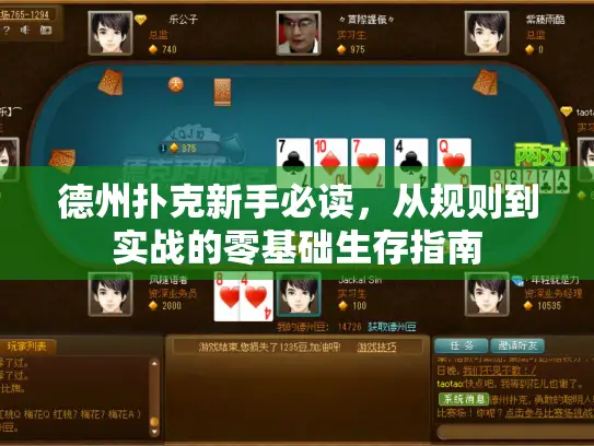 德州扑克新手必读，从规则到实战的零基础生存指南