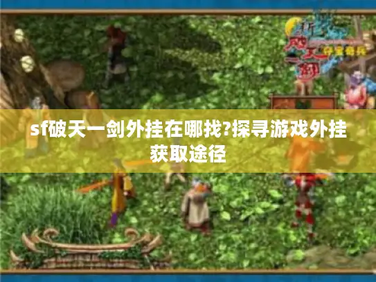 sf破天一剑外挂在哪找?探寻游戏外挂获取途径