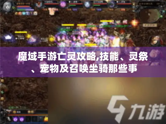 魔域手游亡灵攻略,技能、灵祭、宠物及召唤坐骑那些事