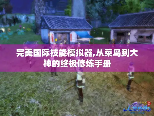 完美国际技能模拟器,从菜鸟到大神的终极修炼手册 完美国际技能模拟器,从菜鸟到大神的终极修炼手册