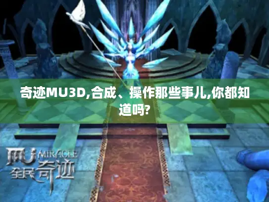 奇迹MU3D,合成、操作那些事儿,你都知道吗?