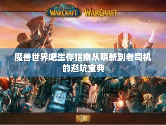 魔兽世界吧生存指南从萌新到老司机的避坑宝典 魔兽世界吧生存指南从萌新到老司机的避坑宝典