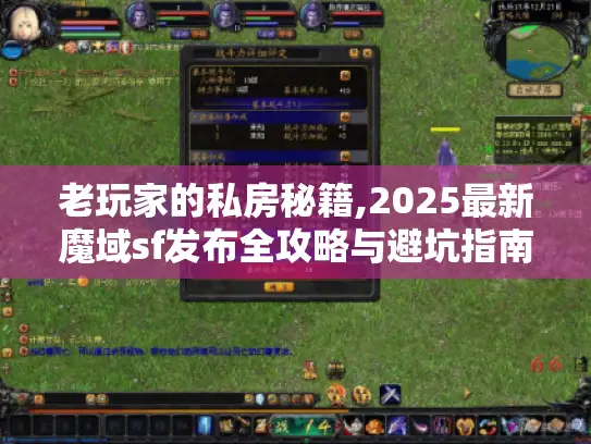 老玩家的私房秘籍,2025最新魔域sf发布全攻略与避坑指南