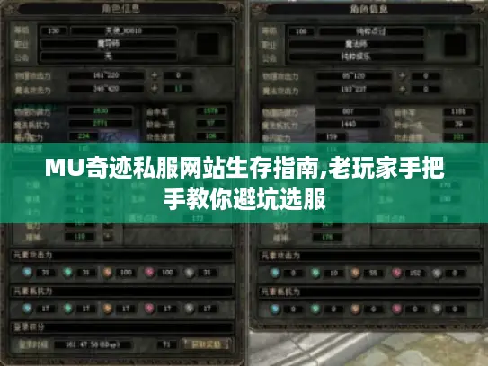 MU奇迹私服网站生存指南,老玩家手把手教你避坑选服 MU奇迹私服网站生存指南,老玩家手把手教你避坑选服