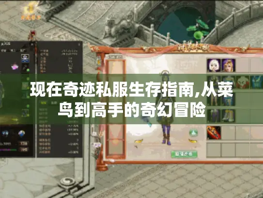 现在奇迹私服生存指南,从菜鸟到高手的奇幻冒险