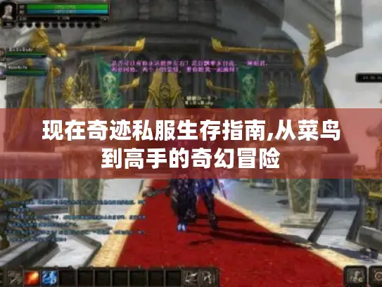 现在奇迹私服生存指南,从菜鸟到高手的奇幻冒险