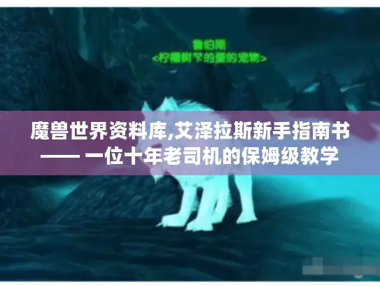魔兽世界资料库,艾泽拉斯新手指南书—— 一位十年老司机的保姆级教学