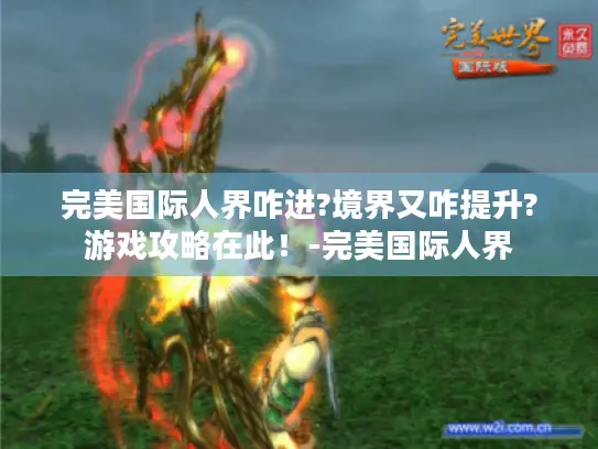 完美国际人界咋进?境界又咋提升?游戏攻略在此！-完美国际人界