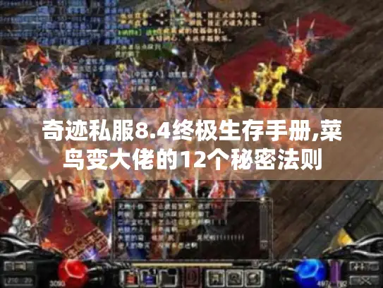 奇迹私服8.4终极生存手册,菜鸟变大佬的12个秘密法则