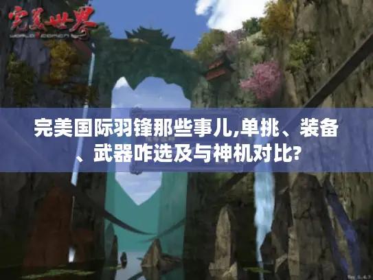 完美国际羽锋那些事儿,单挑、装备、武器咋选及与神机对比?