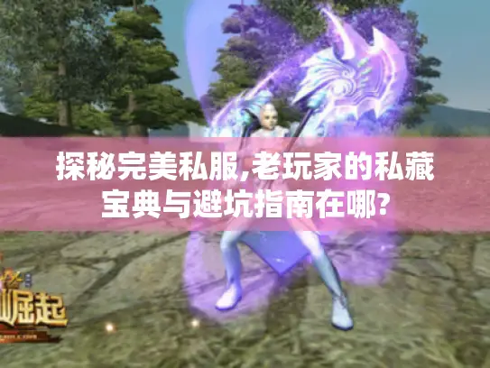 探秘完美私服,老玩家的私藏宝典与避坑指南在哪?