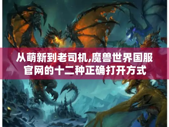 从萌新到老司机,魔兽世界国服官网的十二种正确打开方式