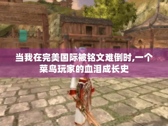 当我在完美国际被铭文难倒时,一个菜鸟玩家的血泪成长史 当我在完美国际被铭文难倒时,一个菜鸟玩家的血泪成长史