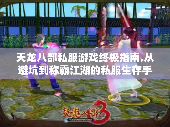 天龙八部私服游戏终极指南,从避坑到称霸江湖的私服生存手册