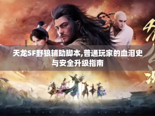 天龙SF野狼辅助脚本,普通玩家的血泪史与安全升级指南