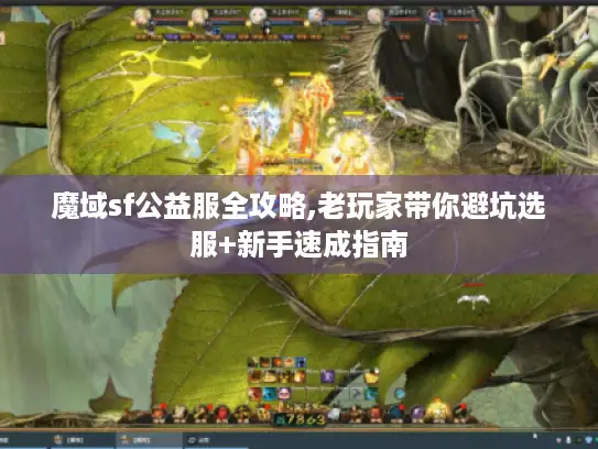 魔域sf公益服全攻略,老玩家带你避坑选服+新手速成指南